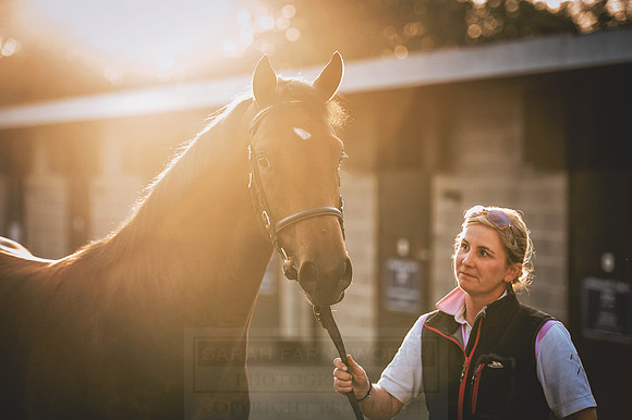 Goffs Orby 2015 -430