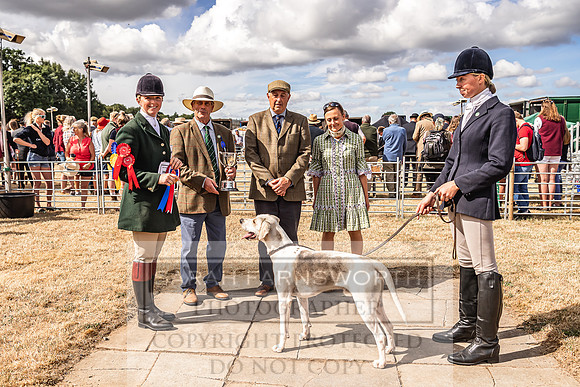 Honiton Hound Show 2022-71