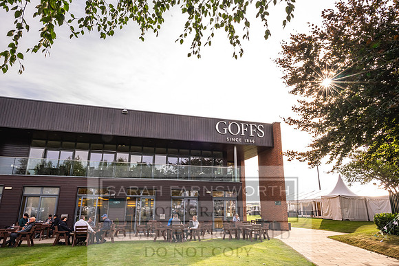 Goffs UK PY24-324