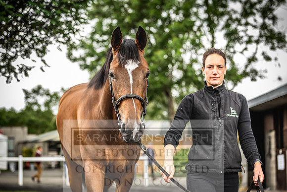 Goffs Land Rover Sale 2022-545