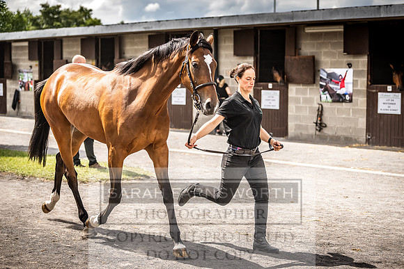Goffs Land Rover Sale 2022-375