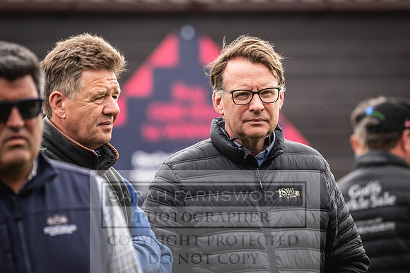 Goffs UK Spring Sale 2024-95