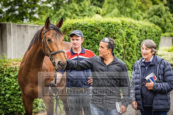 Goffs Land Rover Sale 2022-471