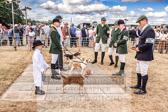 Honiton Hound Show 2022-54
