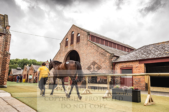 Goffs Yorton Sale 2022-151