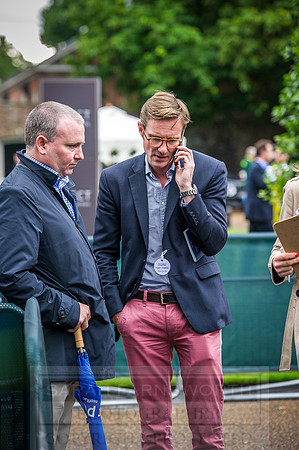 Goffs London Sale 2016-448