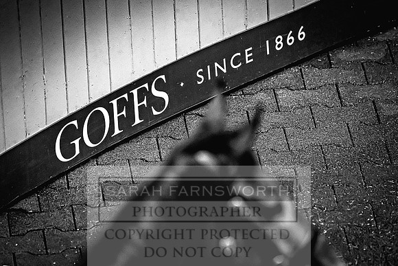 Goffs Land Rover Sale 2022-635