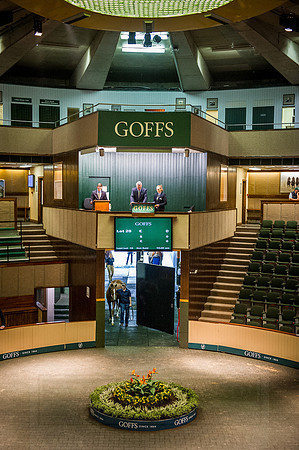 Goffs Orby 2015 -232