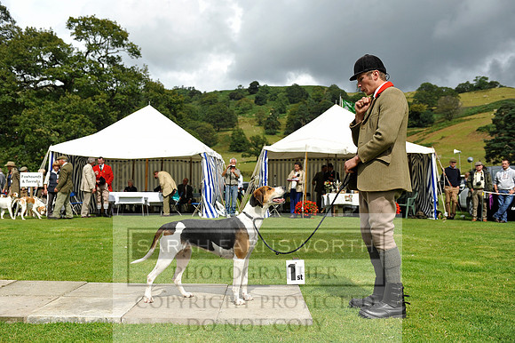 Rydal 2014 CF1 258