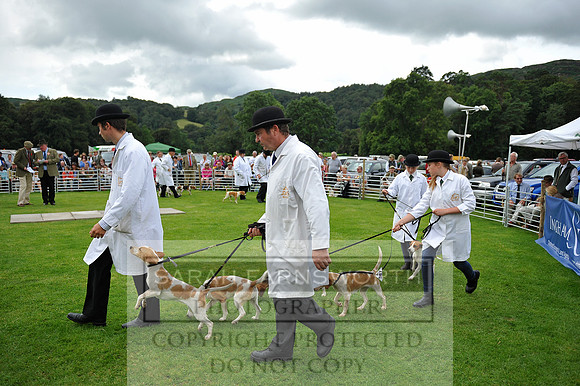 Rydal 2014 CF1 286