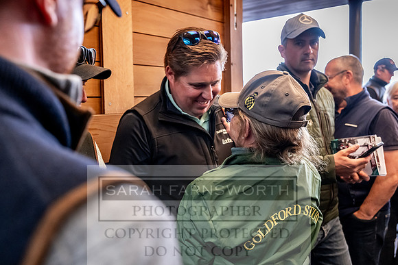 Goffs UK Spring Sale 2024-141