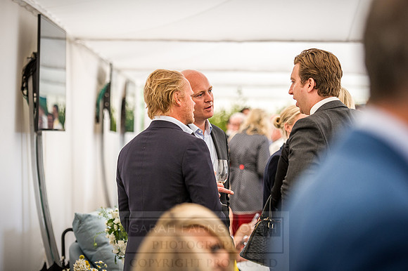 Goffs London Sale 2016-259