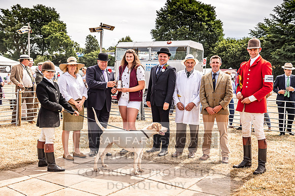 Honiton Hound Show 2022-145