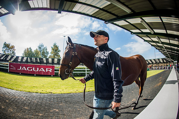 Goffs Orby 2015 -585