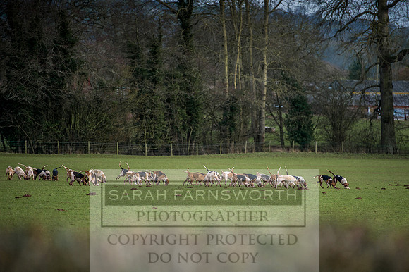Ludlow 261215-521