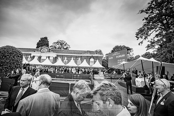 Goffs London Sale 2016-487
