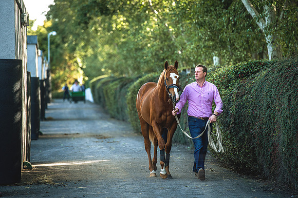 Goffs Orby 2015 -386