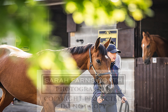 Goffs Land Rover Sale 2022-120