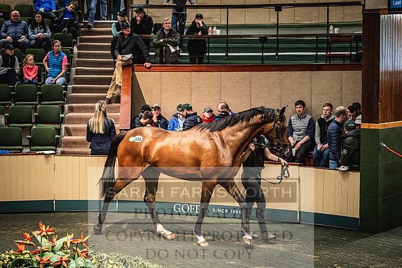 Goffs Land Rover Sale 2022-663
