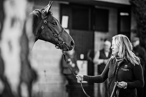 Goffs Orby 2015 -487 bw