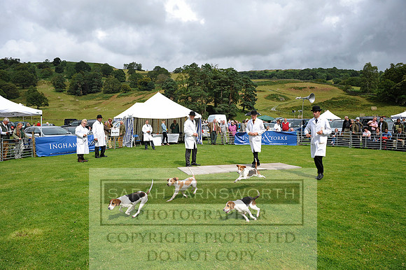 Rydal 2014 CF1 343