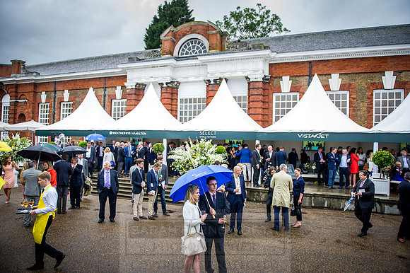 Goffs London Sale 2016-313