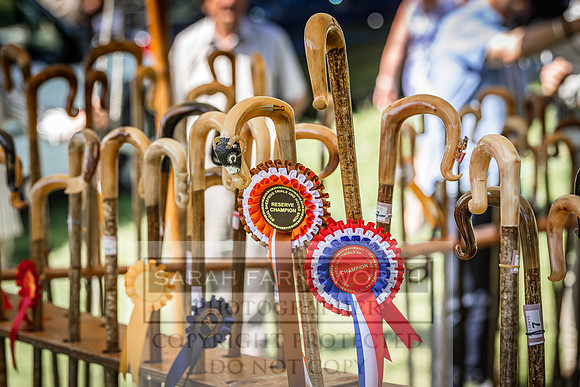 Rydal Hound Show 2022-122