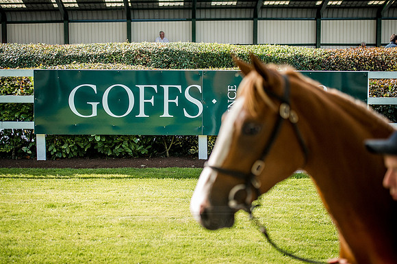 Goffs Orby 2015 -327