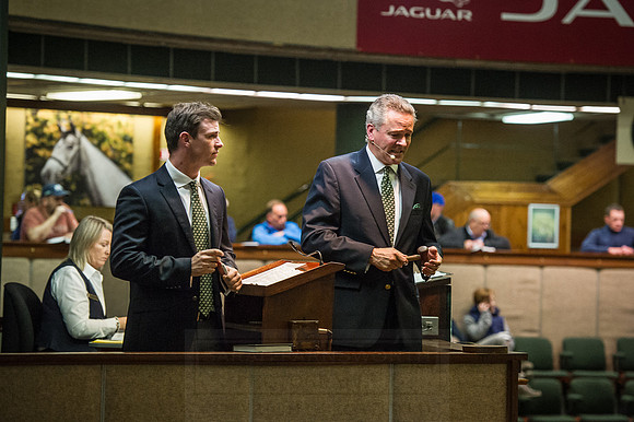 Goffs Orby 2015 -639