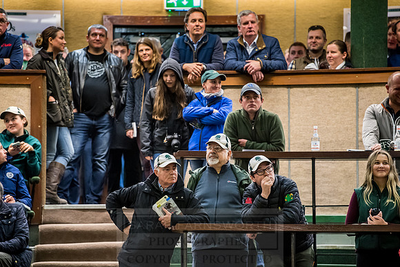Goffs Orby 2018 Day 2-176