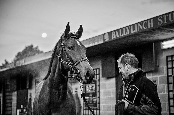 Goffs Orby 2015 -68 bw