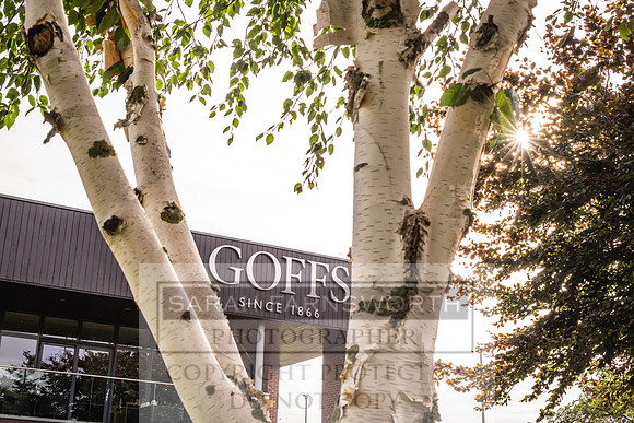 Goffs UK PY24-322