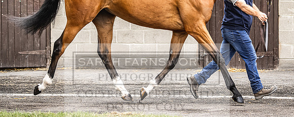 Goffs Land Rover Sale 2022-354