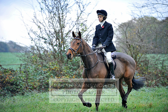 Brocklesby 021113 CF3 1186
