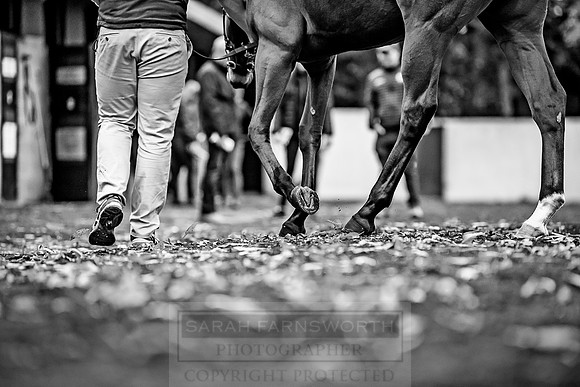 Goffs Orby 2018 Day 1-107
