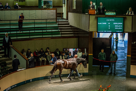 Goffs Orby 2015 -580