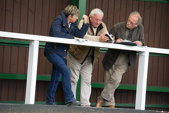 Goffs Orby14 CF7 033