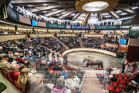 Goffs Land Rover Sale 2022-292