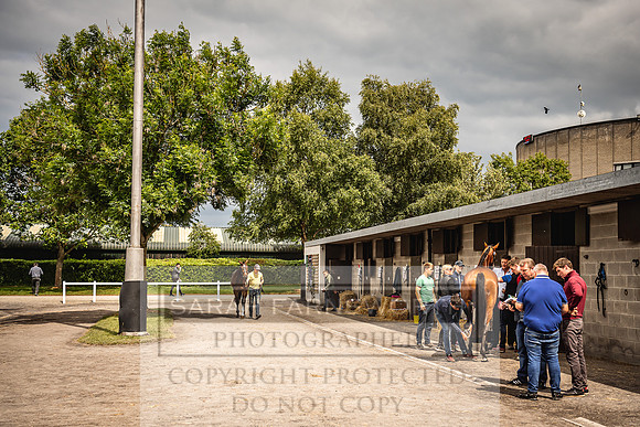 Goffs Land Rover Sale 2022-370