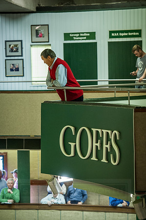 Goffs Orby 2015 -360
