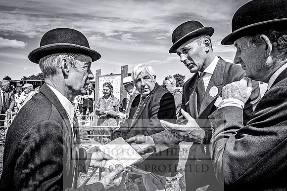 Honiton Hound Show 2022-107