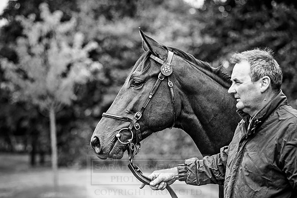 Goffs Orby 2018 Day 1-323