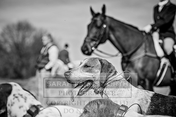 Mooreland Hunt-106 bw