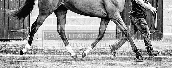 Goffs Land Rover Sale 2022-352