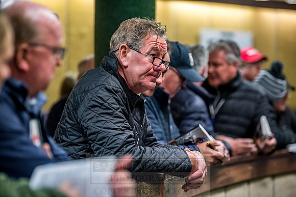 Goffs Orby 2018 Day 1-303