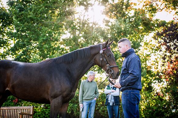 Goffs Orby 2015 -200