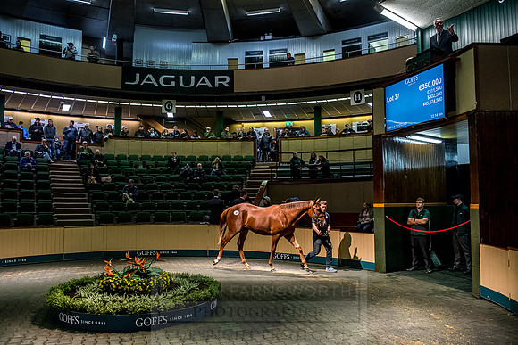 Goffs Orby 2018 Day 1-221