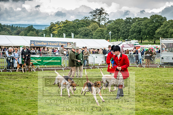Lowther Hound Show 2017-87