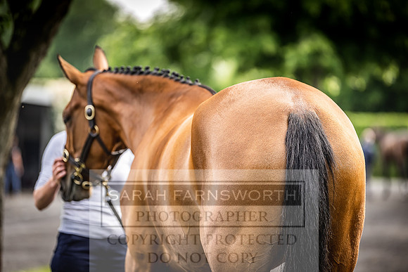 Goffs Land Rover Sale 2022-46