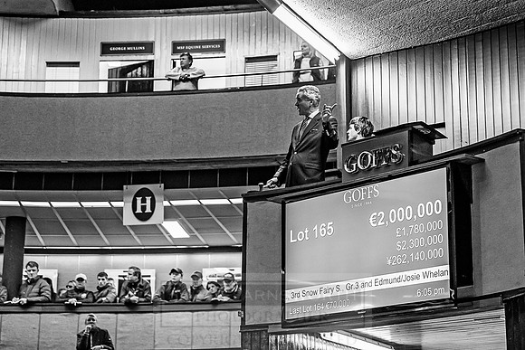 Goffs Orby 2018 Day 1-407